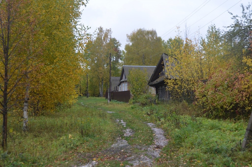 В деревне осталось всего три жилых двора. В деревне осталось всего три жилых двора.jpg