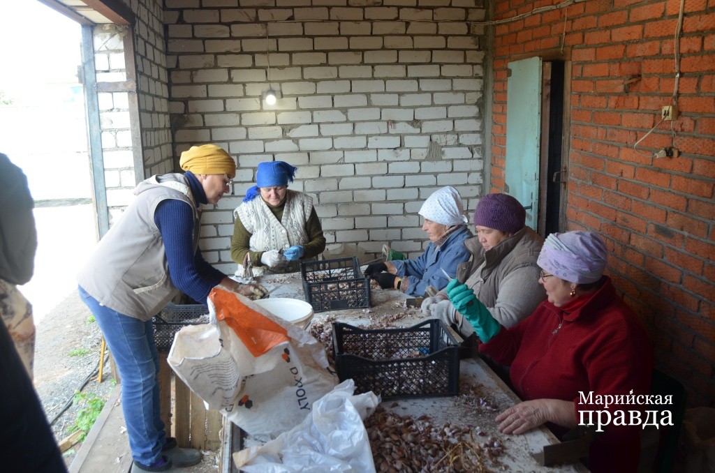 На помощь приходит вся деревенская родня. На помощь приходит вся деревенская родня..jpg