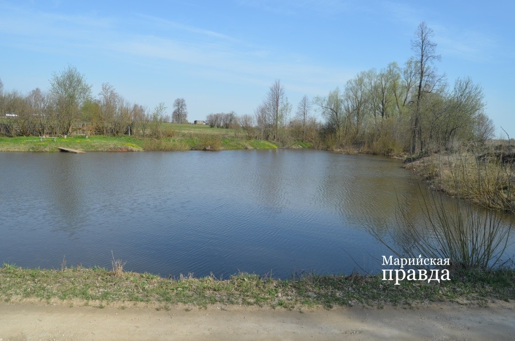 Деревенский пруд углубили и зарыбили. Деревенский пруд углубили и зарыбили 1.jpg