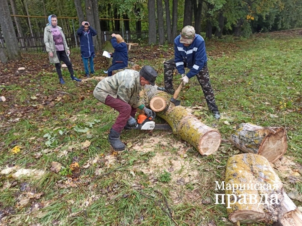 Субботник по расчистке территории мемориала - даже деревья пришлось выпиливать. Субботник по расчистке территории мемориала - даже деревья пришлось выпиливать 1.jpg
