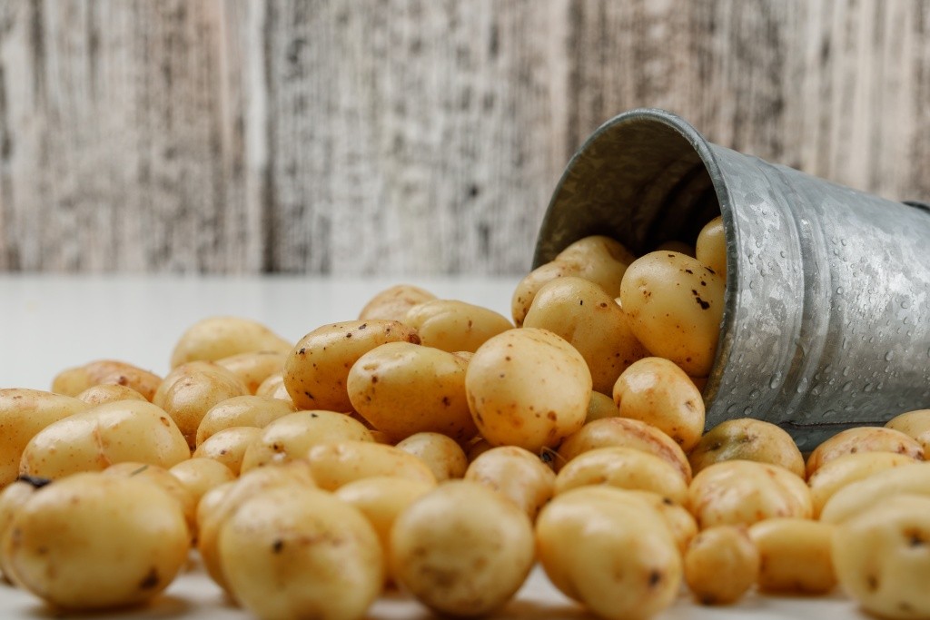 scattered-potatoes-from-mini-bucket-white-grungy-wooden-wall-side-view.jpg scattered-potatoes-from-mini-bucket-white-grungy-wooden-wall-side-view.jpg