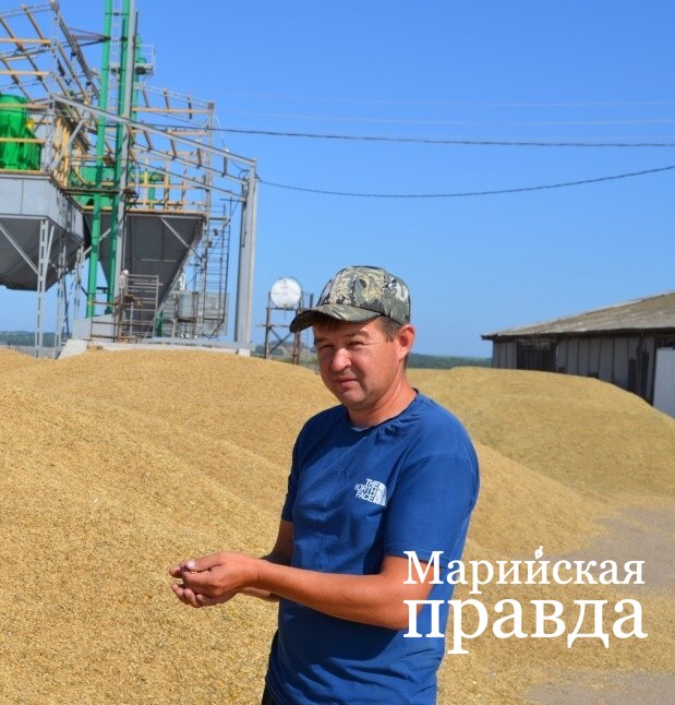 Главный агроном Владимир Медведев будем с хлебом. Главный агроном Владимир Медведев будем с хлебом..jpg