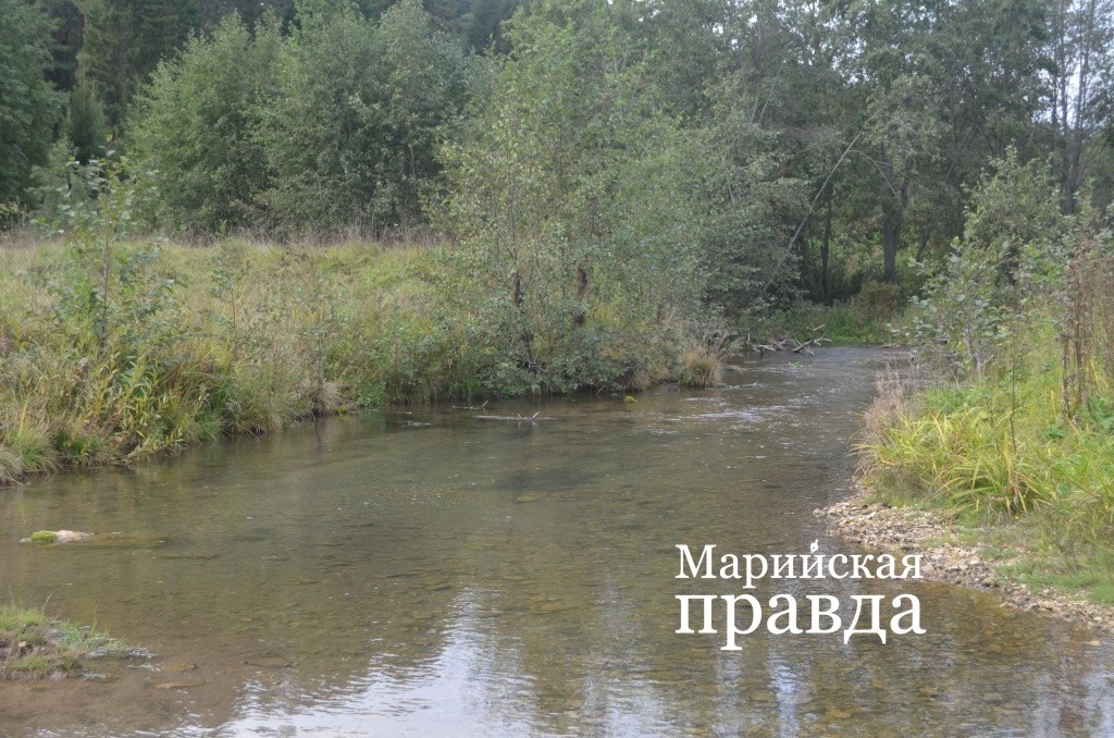 Когда-то только в окрестностях Купсолы на Нольке стояли четыре водяных мельницы. Когда-то только в окрестностях Купсолы на Нольке стояли четыре водяных мельницы 1.jpg